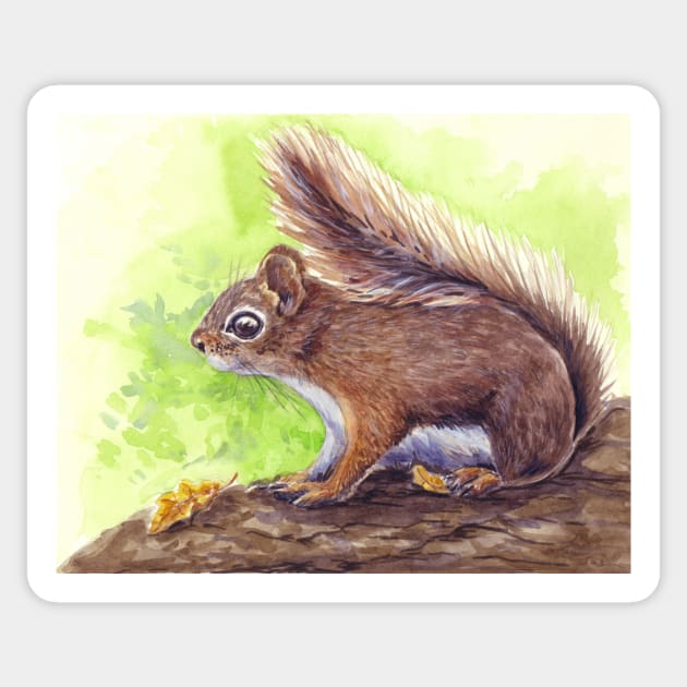 Squirrel Sticker by katerinamk